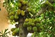 Đi buôn, kinh doanh, khởi nghiệp khác nhau như thế nào?