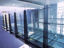 LAN CAN KÍNH CƯỜNG LỰC